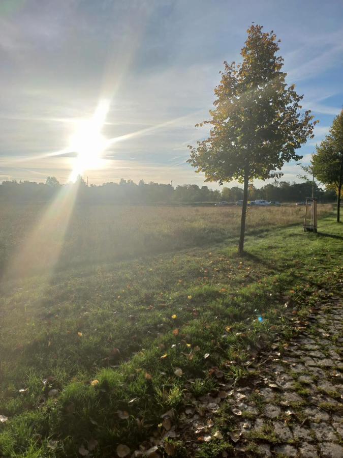 Pension Am Rosental Merseburg Bagian luar foto